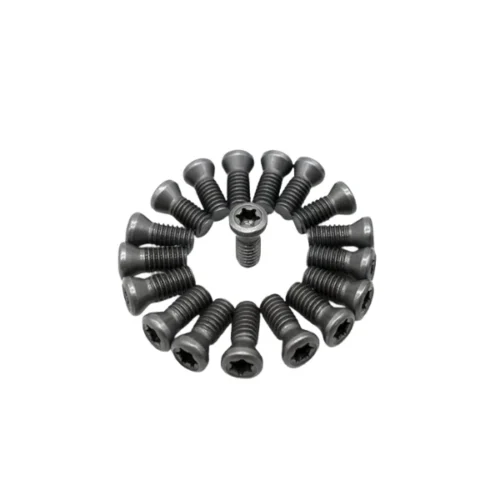 Torx Screw Grey Coated (100 Pcs)