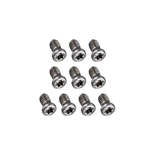 Torx Screw Silver Coated (100 Pcs)